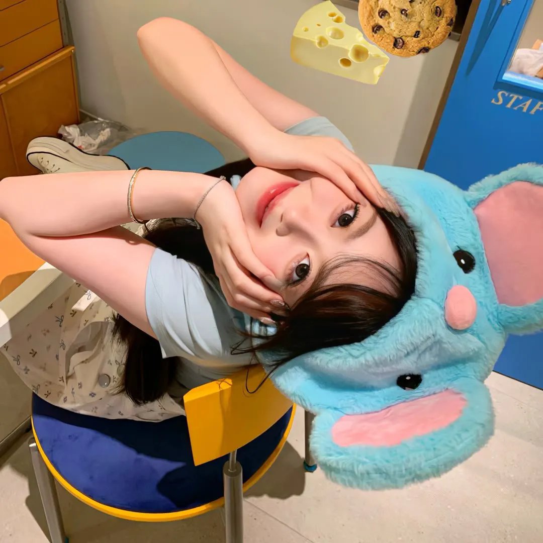 忍冬玫瑰